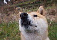 kaiyun官方网站-英超本轮比赛中多支豪门陷入困境，英超qg