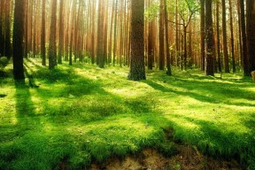 kaiyun开云·官方网站-中乙联赛观众人次突破新高基层足球魅力持续释放,中乙联赛投入