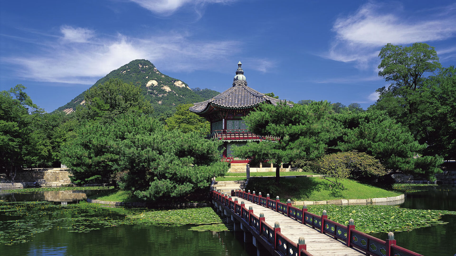 开云kaiyun-星空攀岩挑战赛，攀上星辰的速度与勇气，青少年攀岩星星速度赛道  第1张