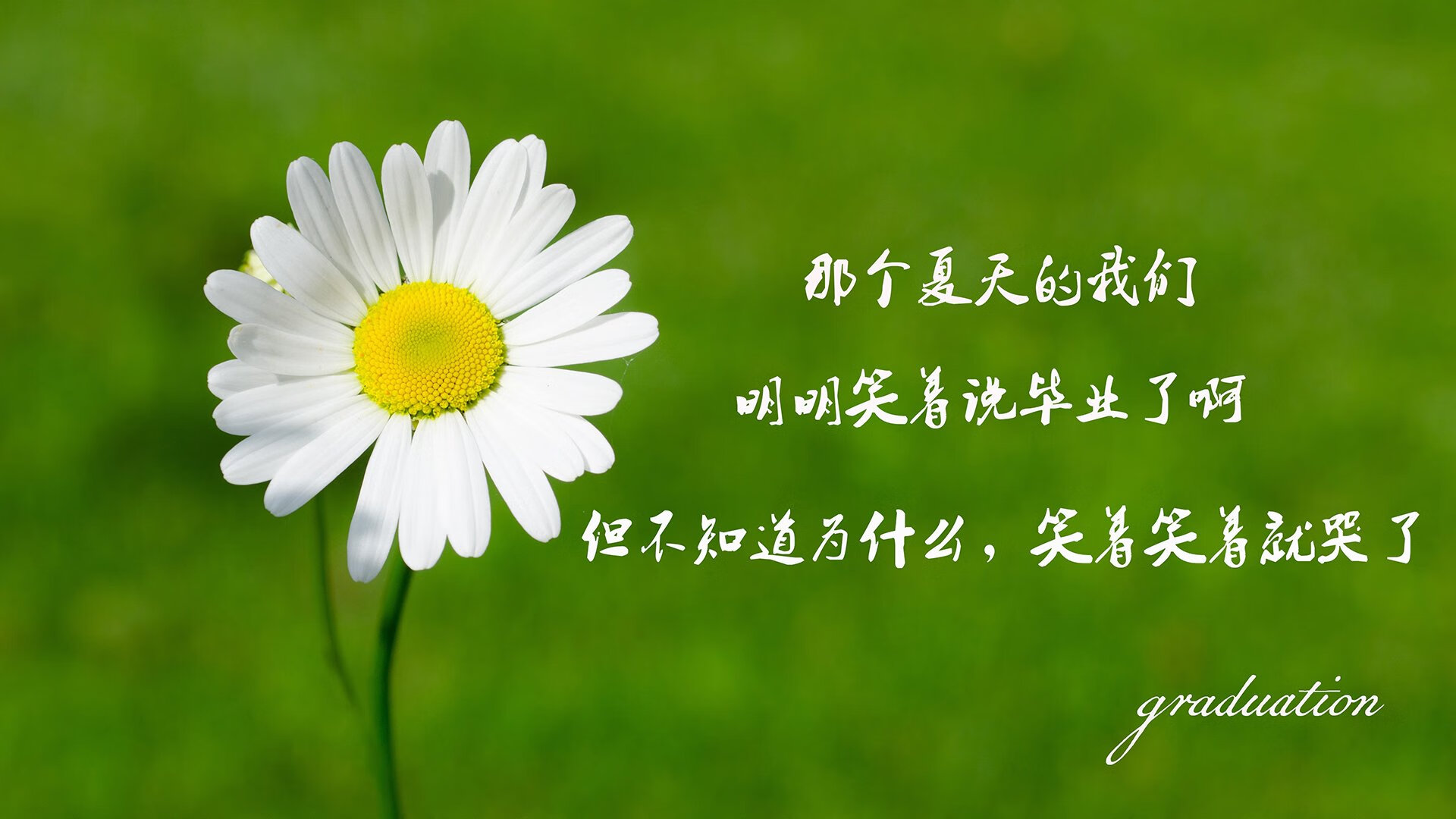 kaiyun体育app-纳迪亚·巴托克莱蒂在女子10000米中获得银牌，纳迪亚 克莱尔  第2张
