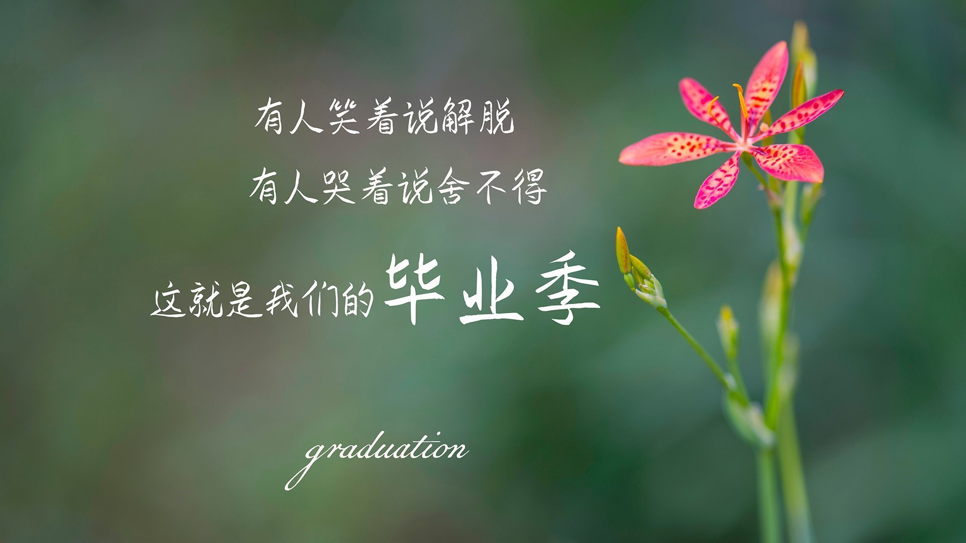 kaiyun登录入口-东契奇上演后撤步绝杀，东契奇 集锦  第2张