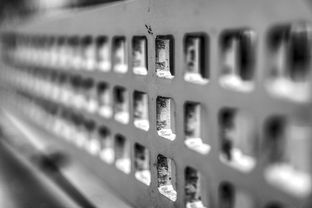 开云中国大陆-体育教学辅助技术发展现状及趋势,体育辅助教案  第2张 开云中国大陆-体育教学辅助技术发展现状及趋势,体育辅助教案  第2张