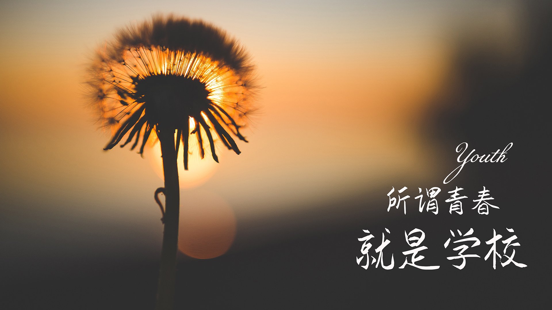 开云入口-中国篮协与体育院校联合培养复合型篮球管理人才,篮协人员  第2张 开云入口-中国篮协与体育院校联合培养复合型篮球管理人才,篮协人员  第2张